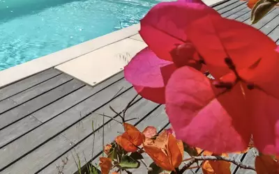Roquebrune-Sur-Argens (83380)