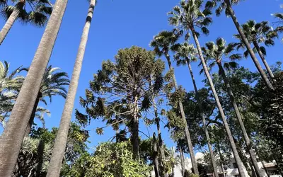 Espagne