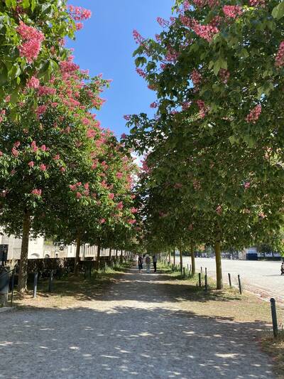 Location appartement 5 pièces Nantes (44)