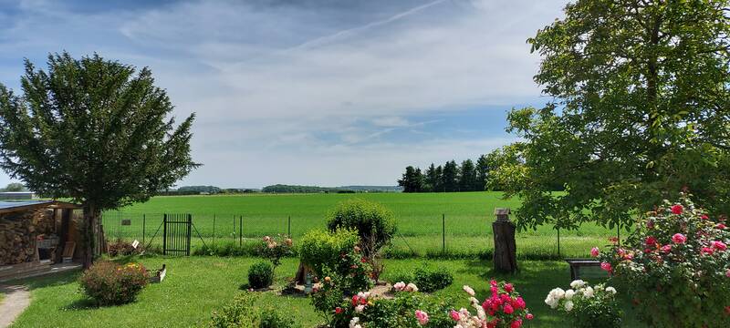 Soindres (78200)