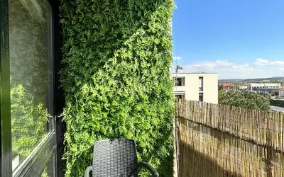 Albi (81000)