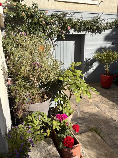 Vente maison 6 pièces Galluis (78490)