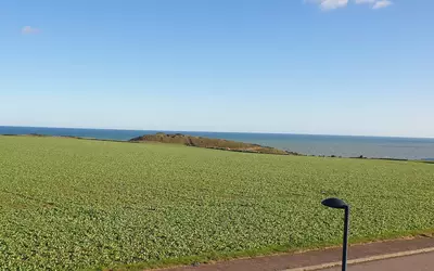 Veulettes-Sur-Mer (76450)