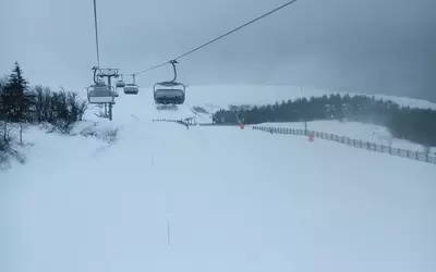 Chalmazel (42920)