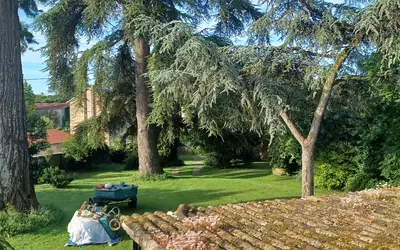 Couhé (86700)