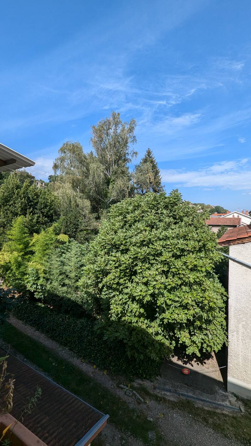 La Mulatière (69350)