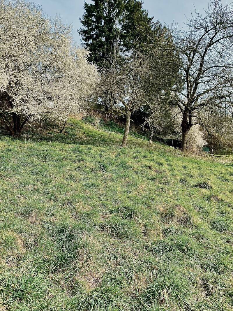 Jeumont (59460)