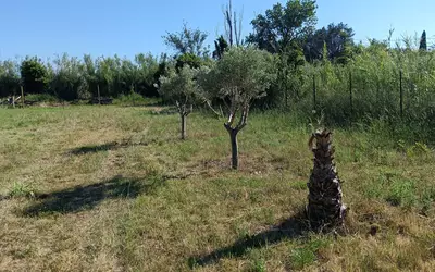 Rivesaltes (66600)