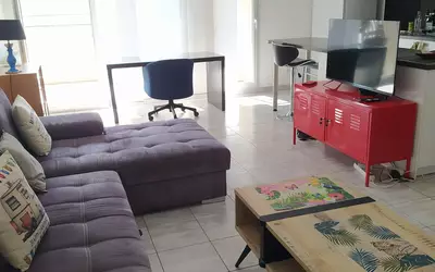 Colocation, Villeurbanne