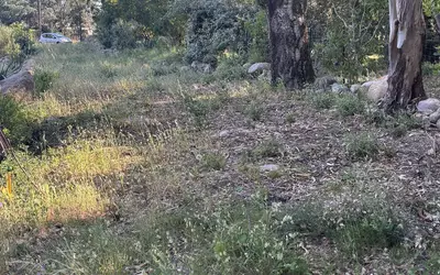 San-Gavino-Di-Carbini (20170)