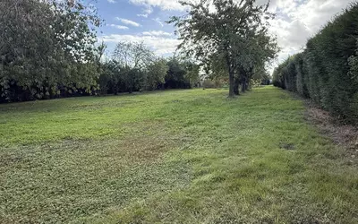 Saint-Avertin (37550)