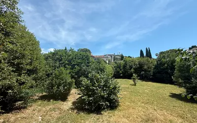 Cannes (06150)
