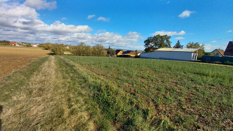 Waldolwisheim (67700)