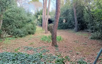 Nîmes (30000)