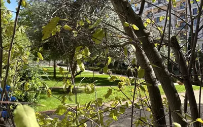 Montrouge (92120)