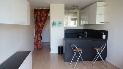 Location appartement studio Paris 15e