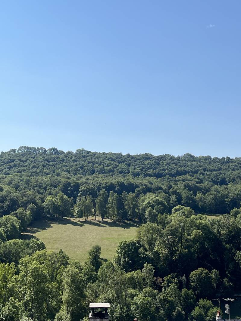 Les Ternes (15100)