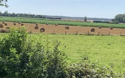 Le Coudray-Saint-Germer (60850)