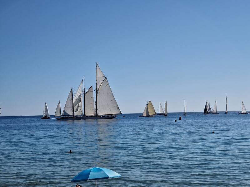 Cannes (06150)