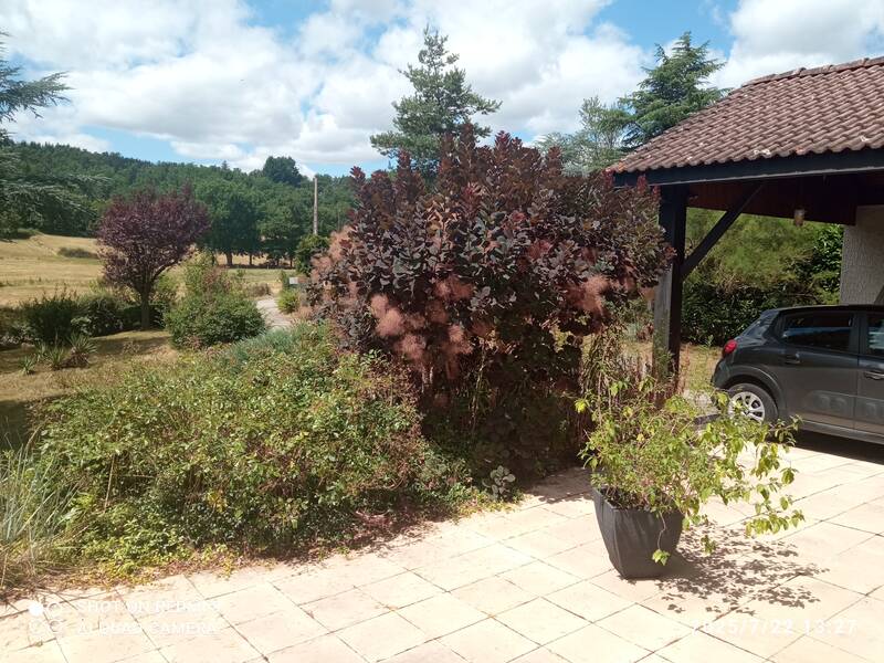 Bas-En-Basset (43210)