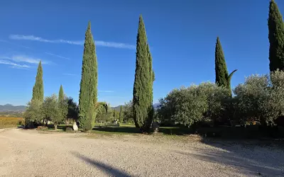 Vaison-La-Romaine (84110)