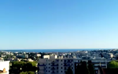 Le Cannet (06110)