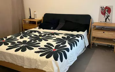 Saint-Ouen-Sur-Seine (93400)