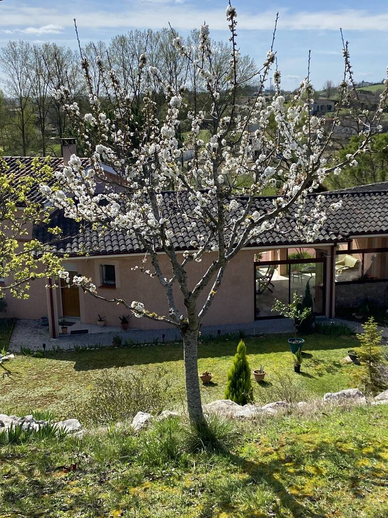 Caussade (82300)