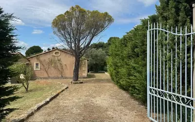 Maussane-Les-Alpilles (13520)