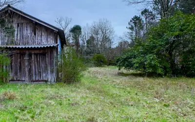 Gourbera (40990)