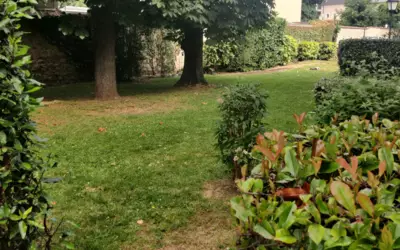 Mantes-La-Jolie (78200)