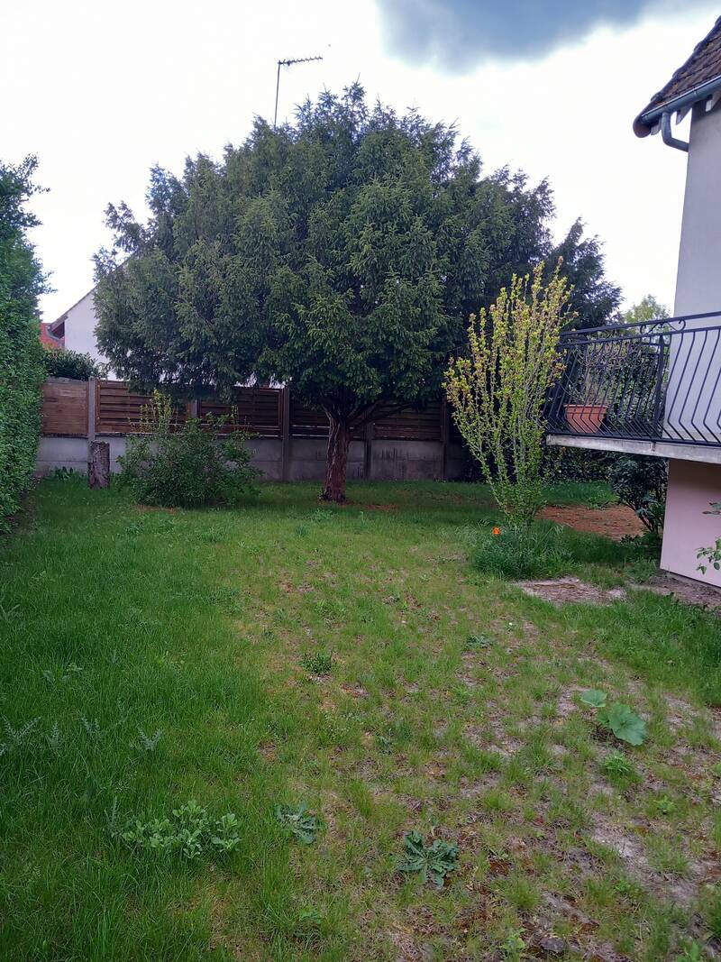 Saint-Jean-De-La-Ruelle (45140)