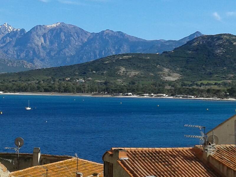 Calvi (20260)