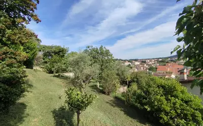 Pégomas (06580)