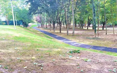 Cergy (95000)