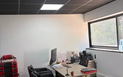 Noiseau