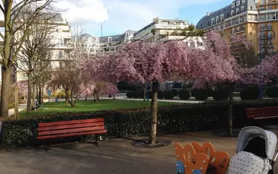 Montrouge (92120)