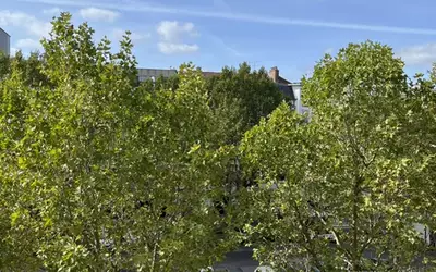 Montrouge (92120)