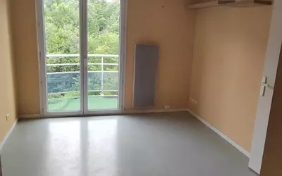 Clermont-Ferrand (63000)