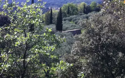 Neffiès (34320)