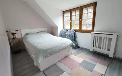 Gonesse (95500)