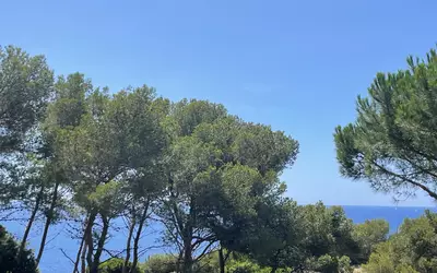 Saint-Mandrier-Sur-Mer (83430)
