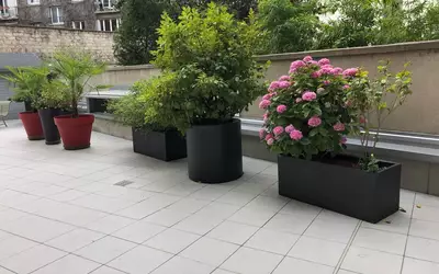 Boulogne-Billancourt (92100)