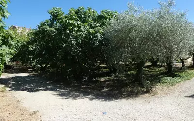 Caromb (84330)