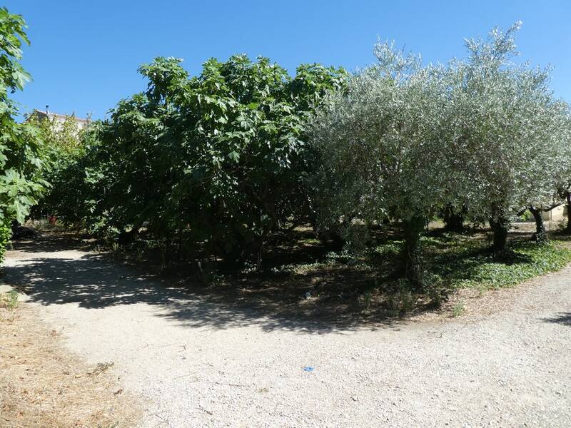 Caromb (84330)
