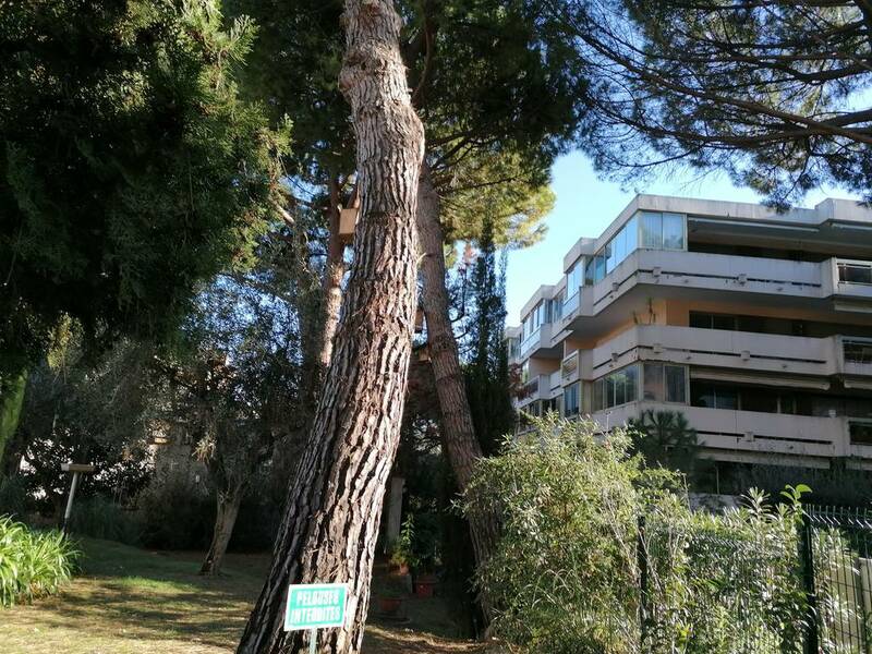 Le Cannet (06110)