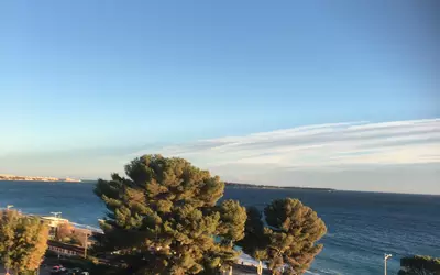 Cannes (06150)