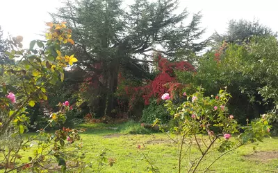 Dammarie-Les-Lys (77190)