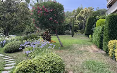 Cannes (06150)