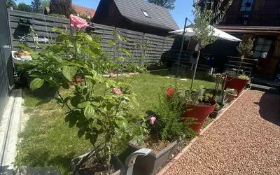 Réau